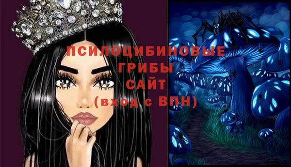 СК Вязники