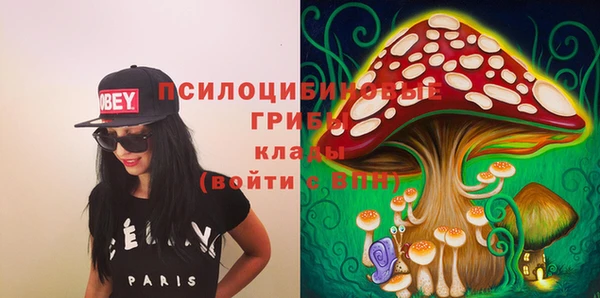 а пвп мука Вяземский