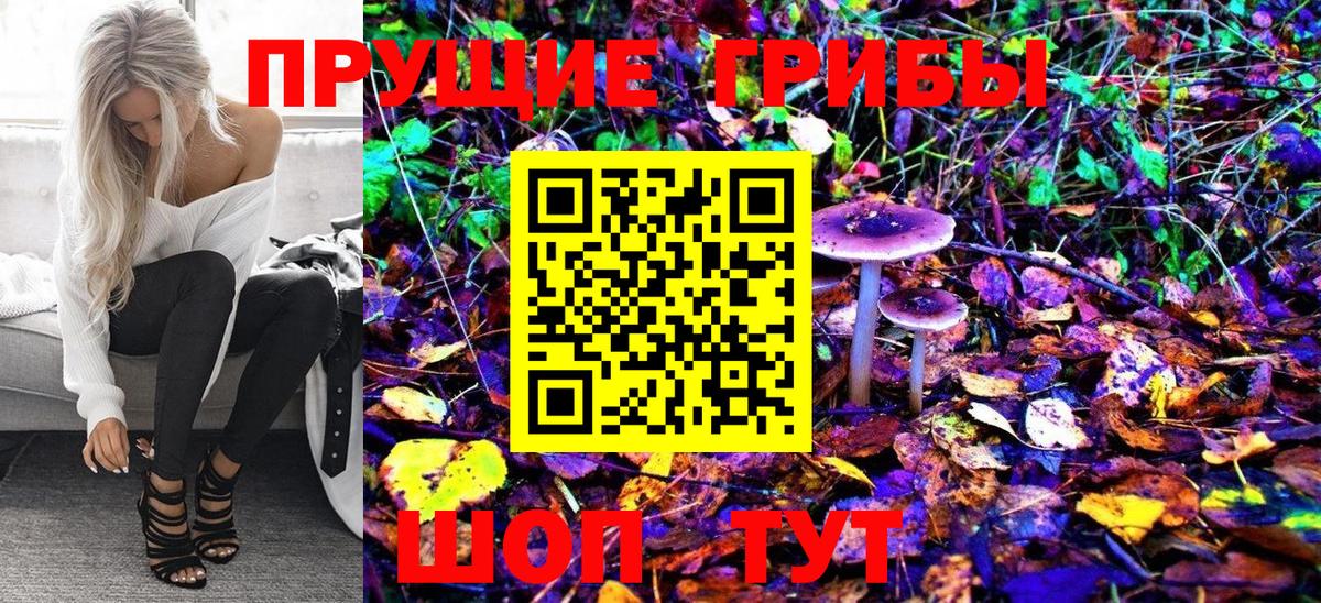 Великий Новгород  Псилоцибиновые грибы Psilocybine cubensis  Вход с VPN 
