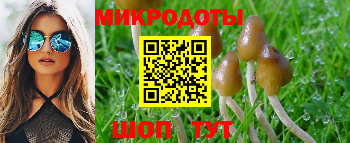 Галлюциногенные грибы Magic Shrooms Великий Новгород